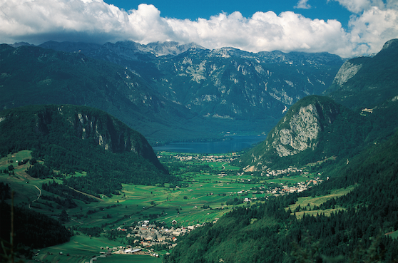 Screen Shot 2015-06-08 at 15.19.11